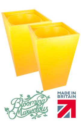 Two Large Yellow Cambridge Planters In Yellow