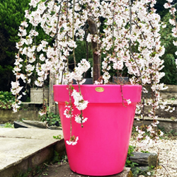 Classic Planters - Large Planters  - Tree Planters | Ecosure UK Made