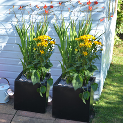 Garden Planters - UK Made Garden Pots | Ecosure