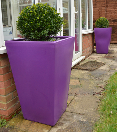 Two Large Cambridge Planters In Purple
