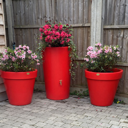The Red Water Butt Planter Set