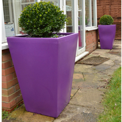 Two Large Cambridge Planters In Purple