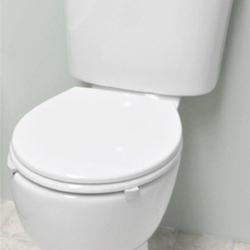 I.Care Comfort Height Toilet