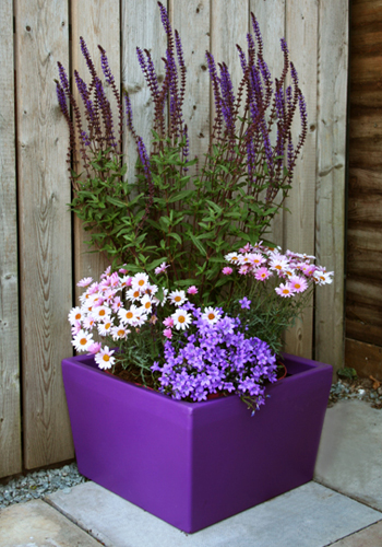 Meldreth Garden Planter In Purple