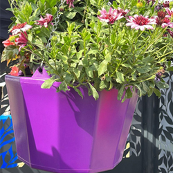 Self Watering Hanging Basket Planter Purple