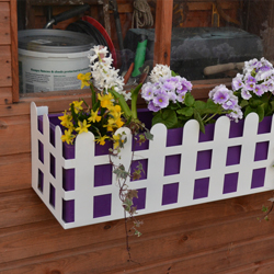 Window Box Cottage Style Purple/White