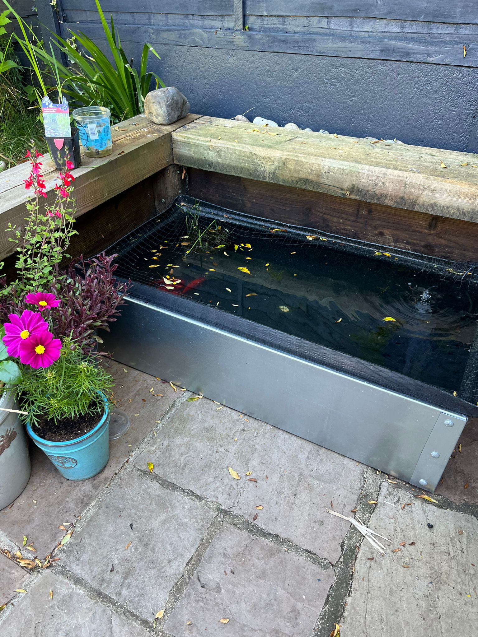 The Urban Patio Pond
