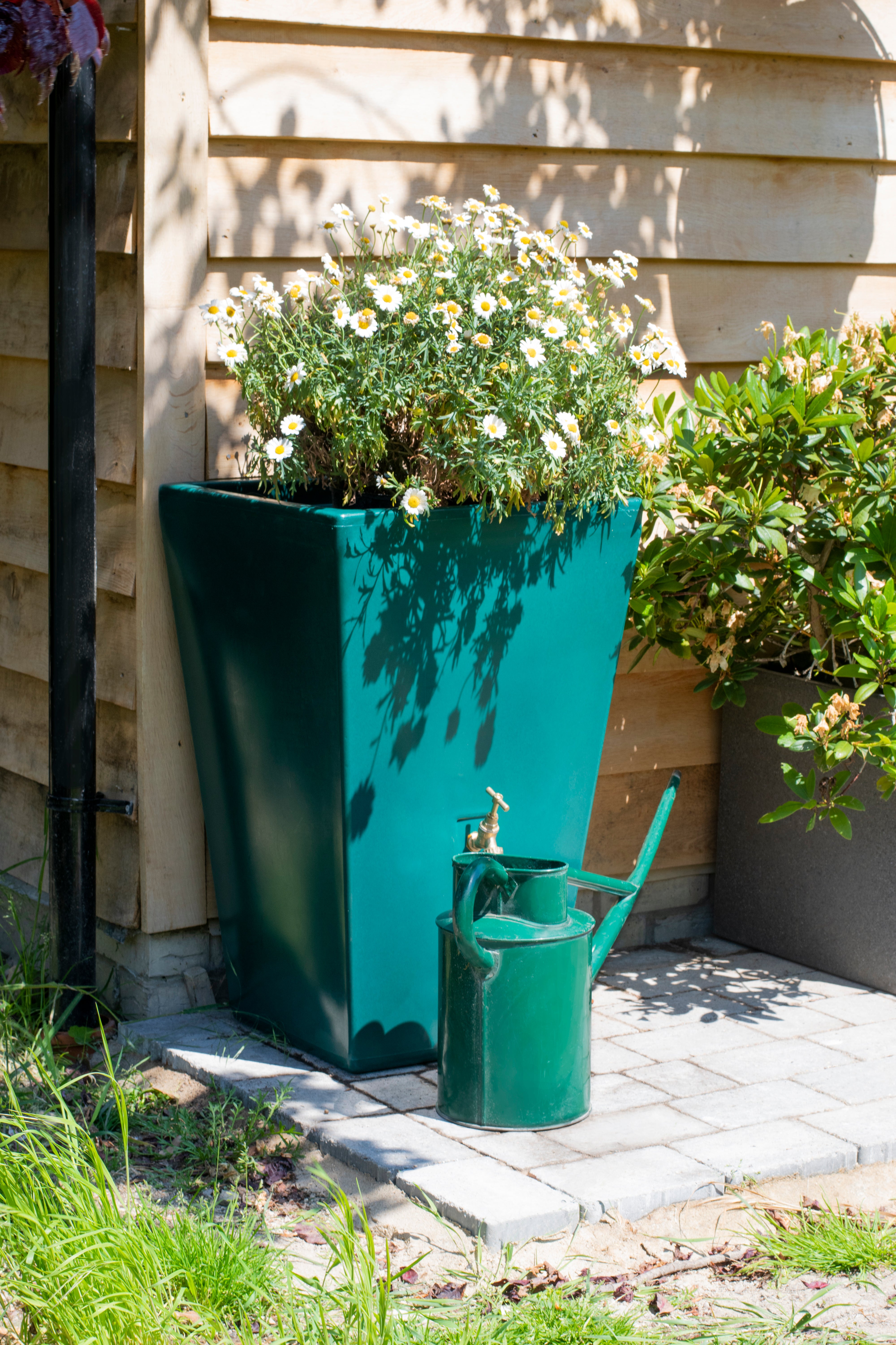 Cambridge Water Butt Planter In Forest Green