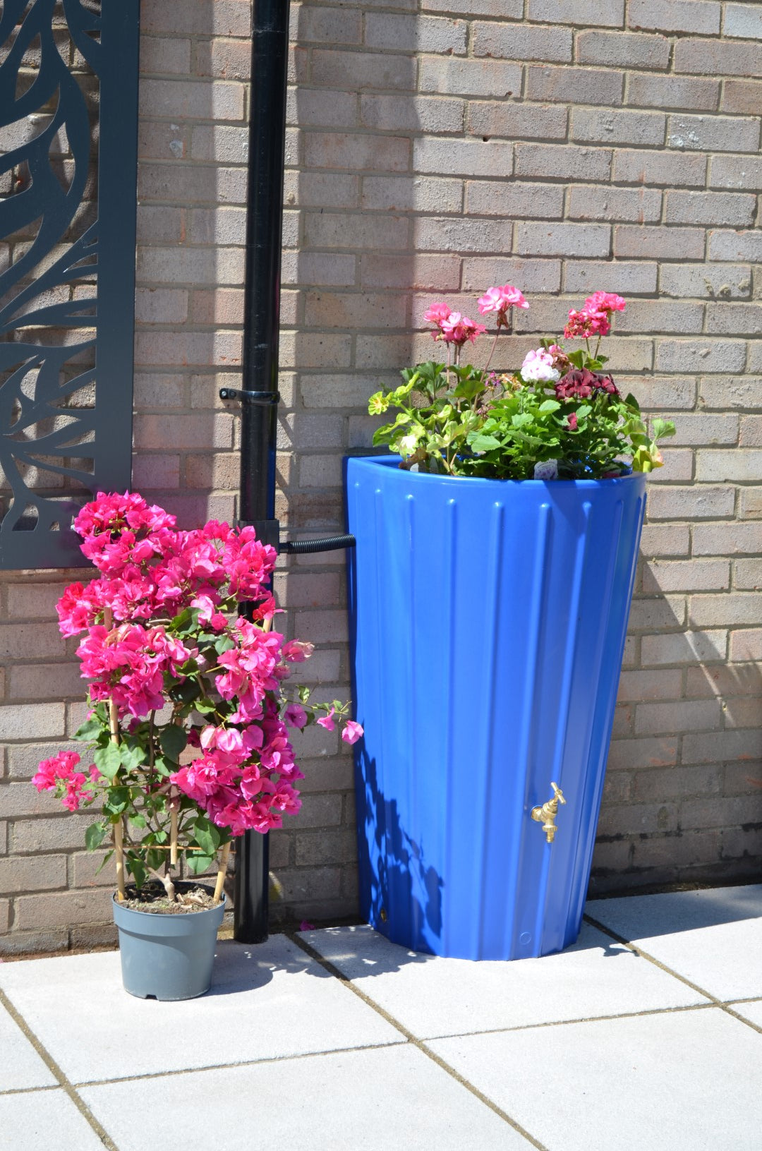 Mini Cosmo Water Butt Planter in Blue