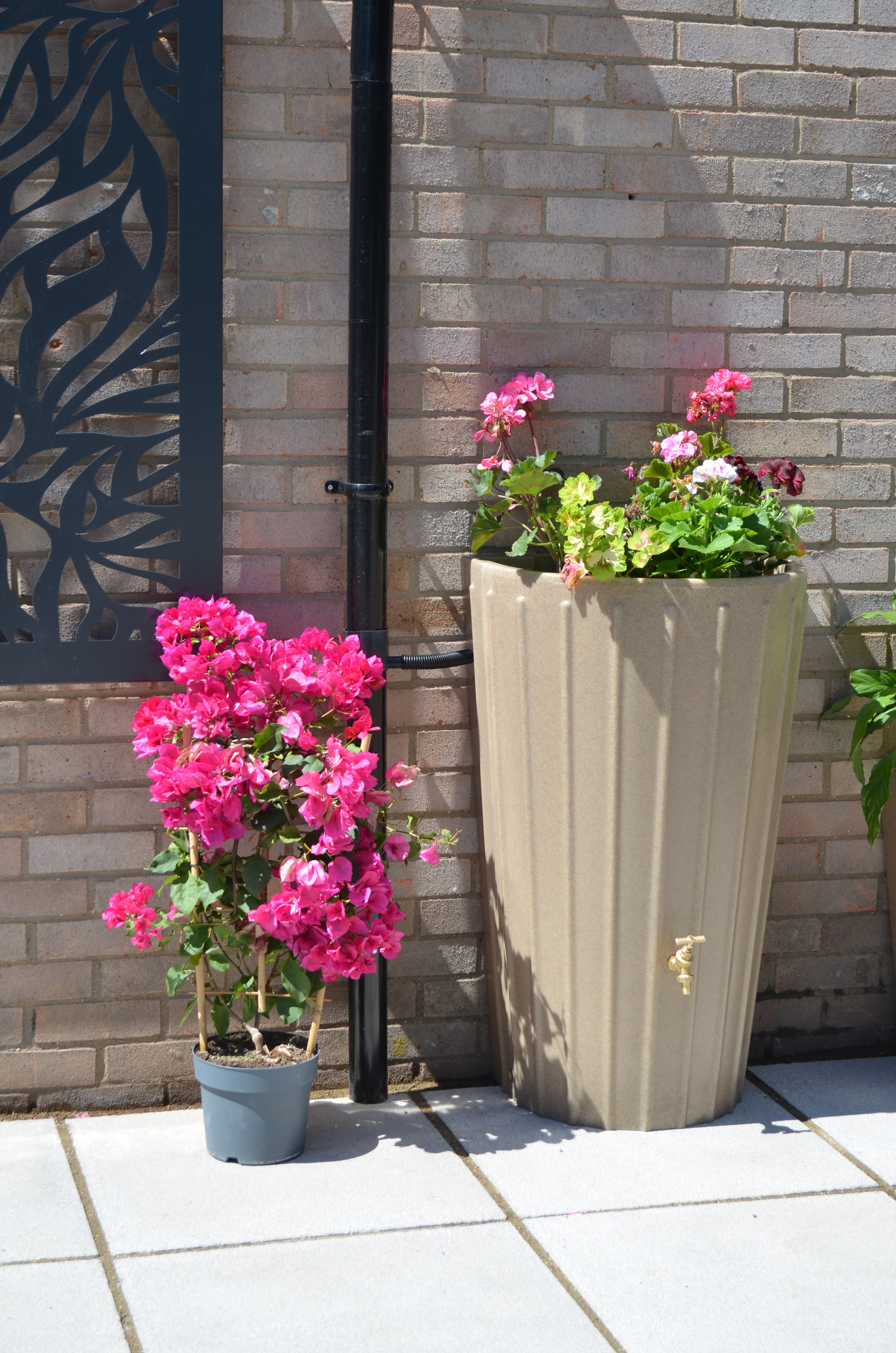 Mini Cosmo Water Butt Planter in Sandstone