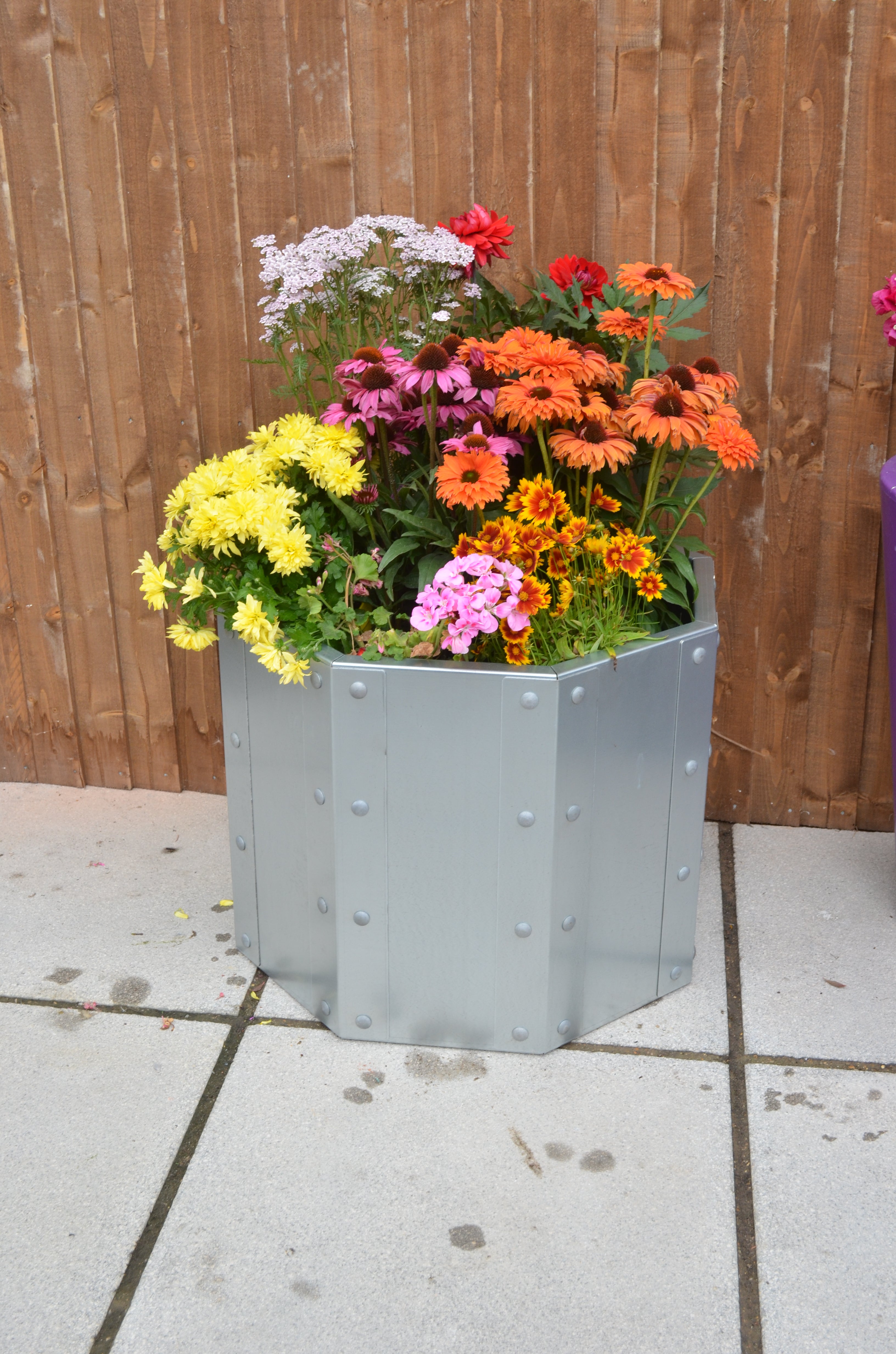 Raised Planter The Royston