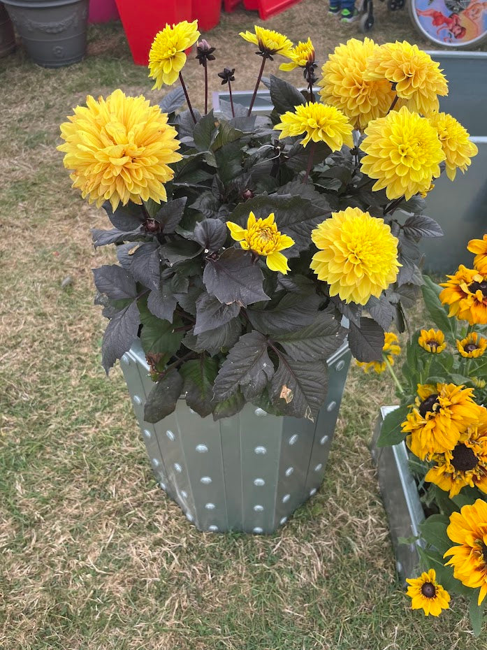 Raised Planter The Therfield