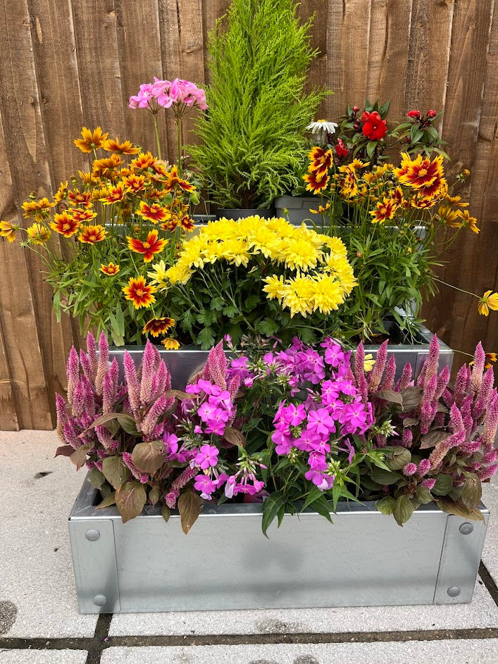 Raised Planter - The Three Tiered