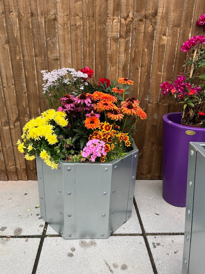 Raised Planter The Royston