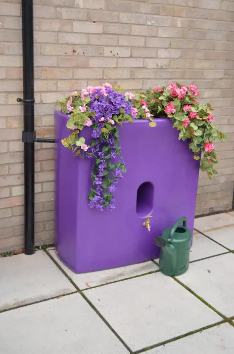 Oasis Water Butt Planter In Purple