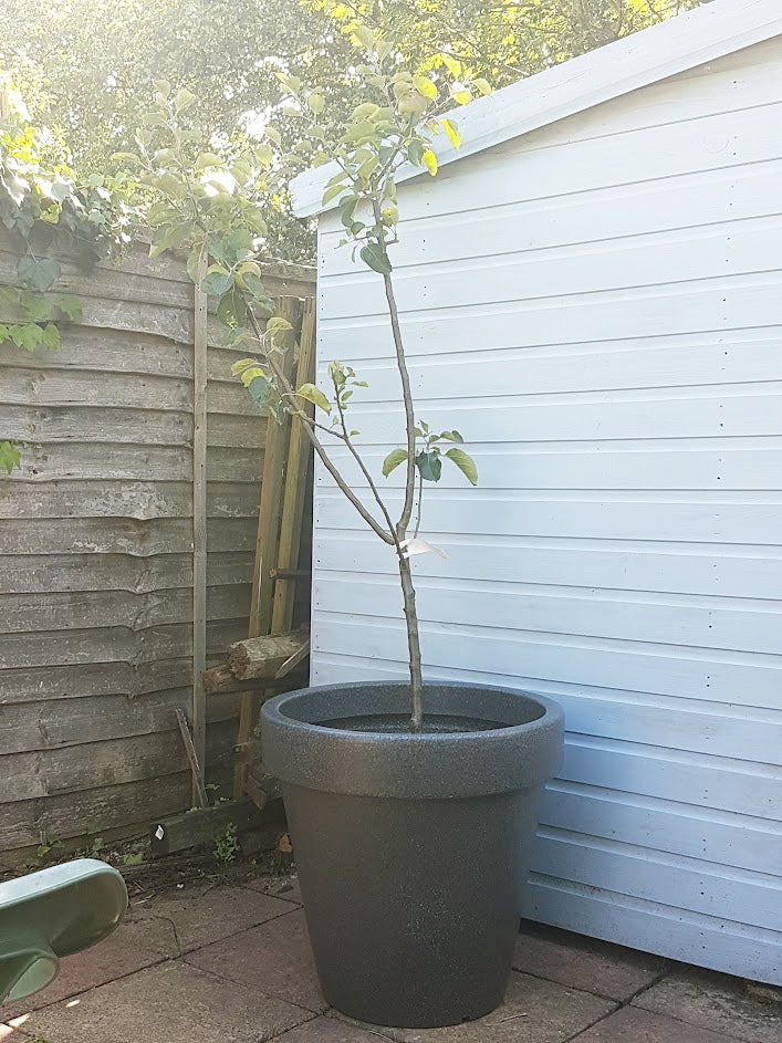 The Classic Garden Planter In Millstone