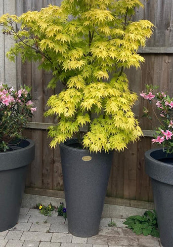 Ashwell Garden Planter Millstone