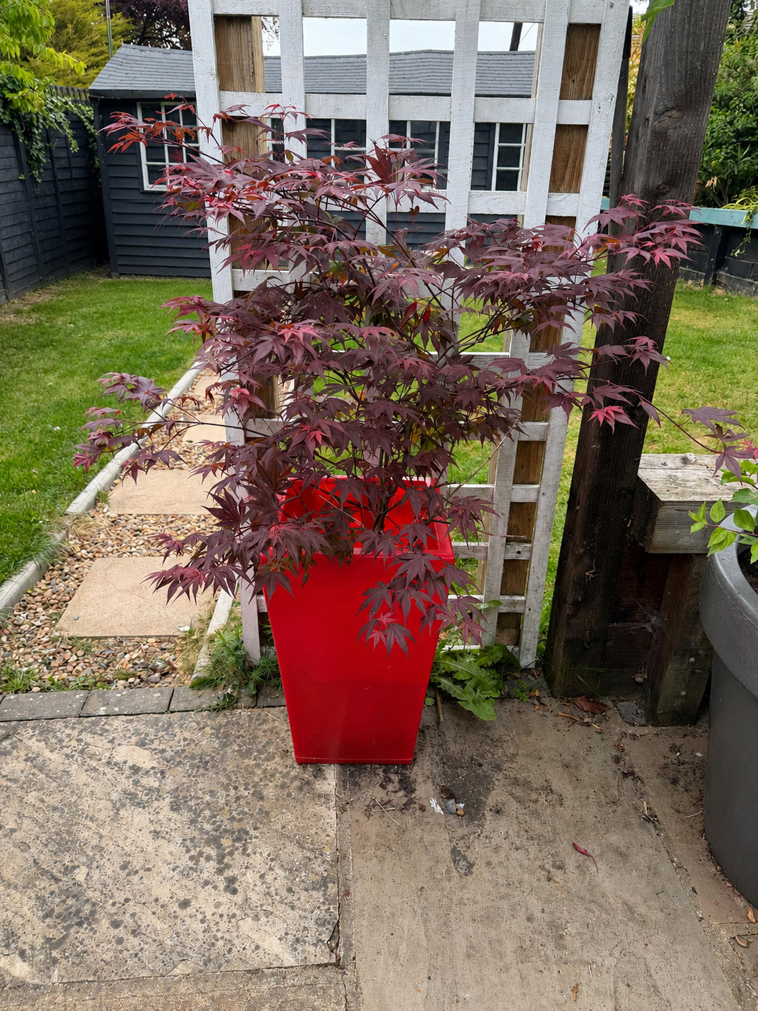 Barrington Garden Planter In Red