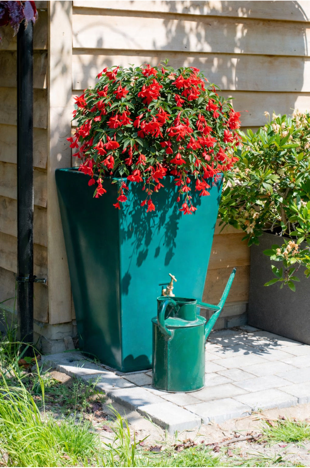 Cambridge Water Butt Planter In Forest Green