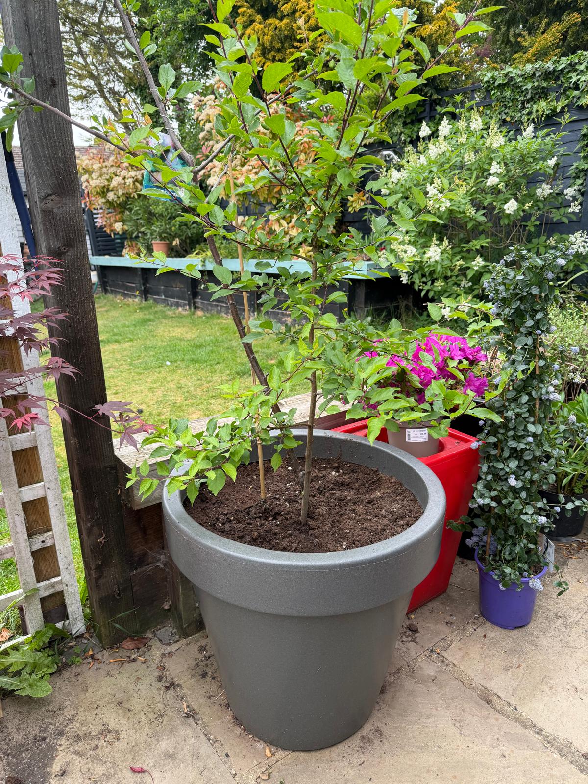 The Classic Garden Planter In Millstone