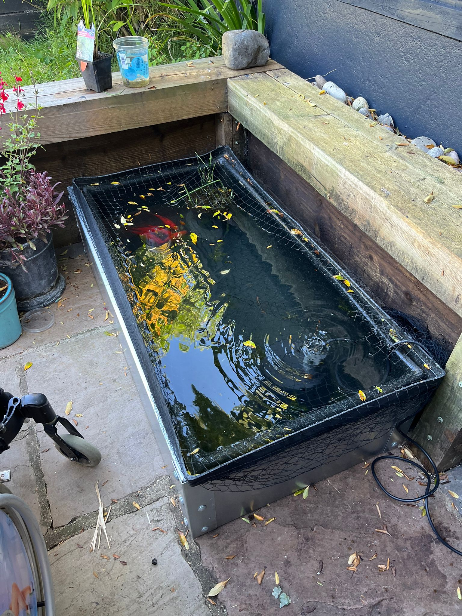 The Urban Patio Pond