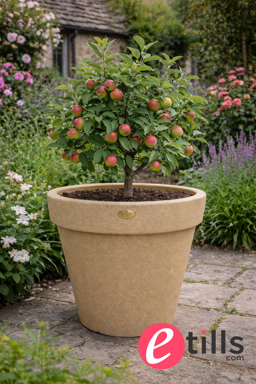 Classic Garden Planter In Sandstone