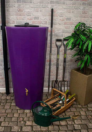 Just Water Metropolitan In Purple