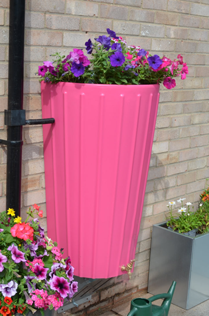 Wall Mounted Mini Cosmo Water Butt Planter in Pink