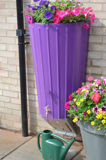 Wall Mounted Mini Cosmo Water Butt Planter in Purple