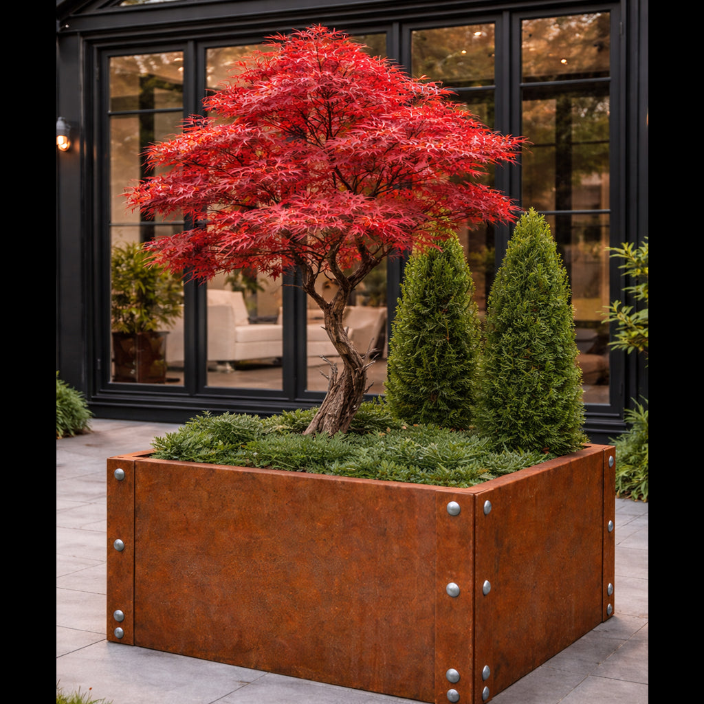 Corten Steel Raised Bed 800mm x 600mm x 450mm