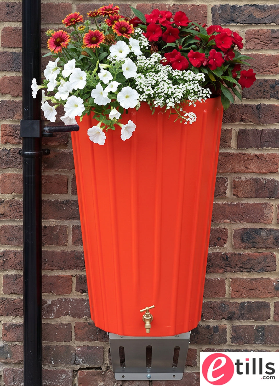 Wall Mounted Mini Cosmo Water Butt Planter in Red