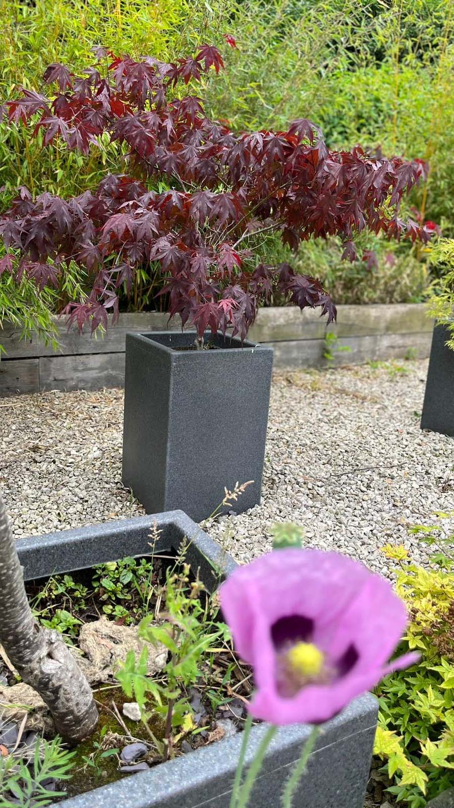 Shepreth Garden Planter