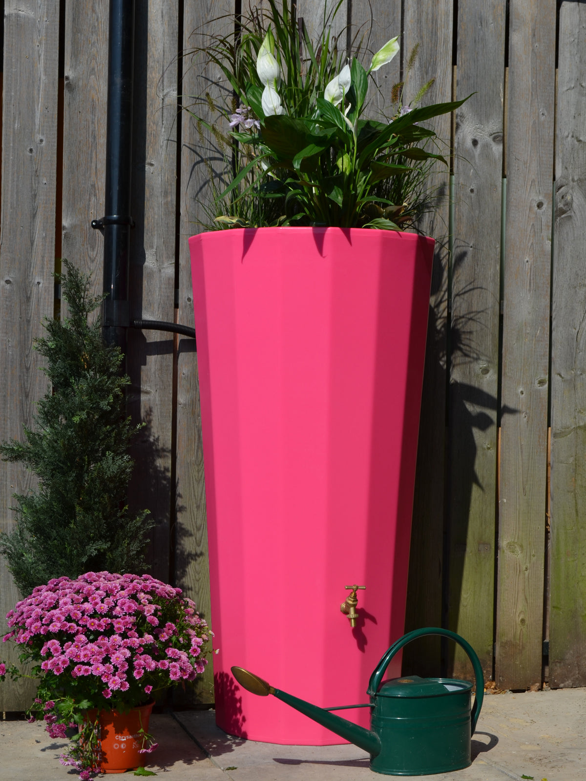 tall plant pots outdoor uk 200 Litre Water Butt Planters Pink