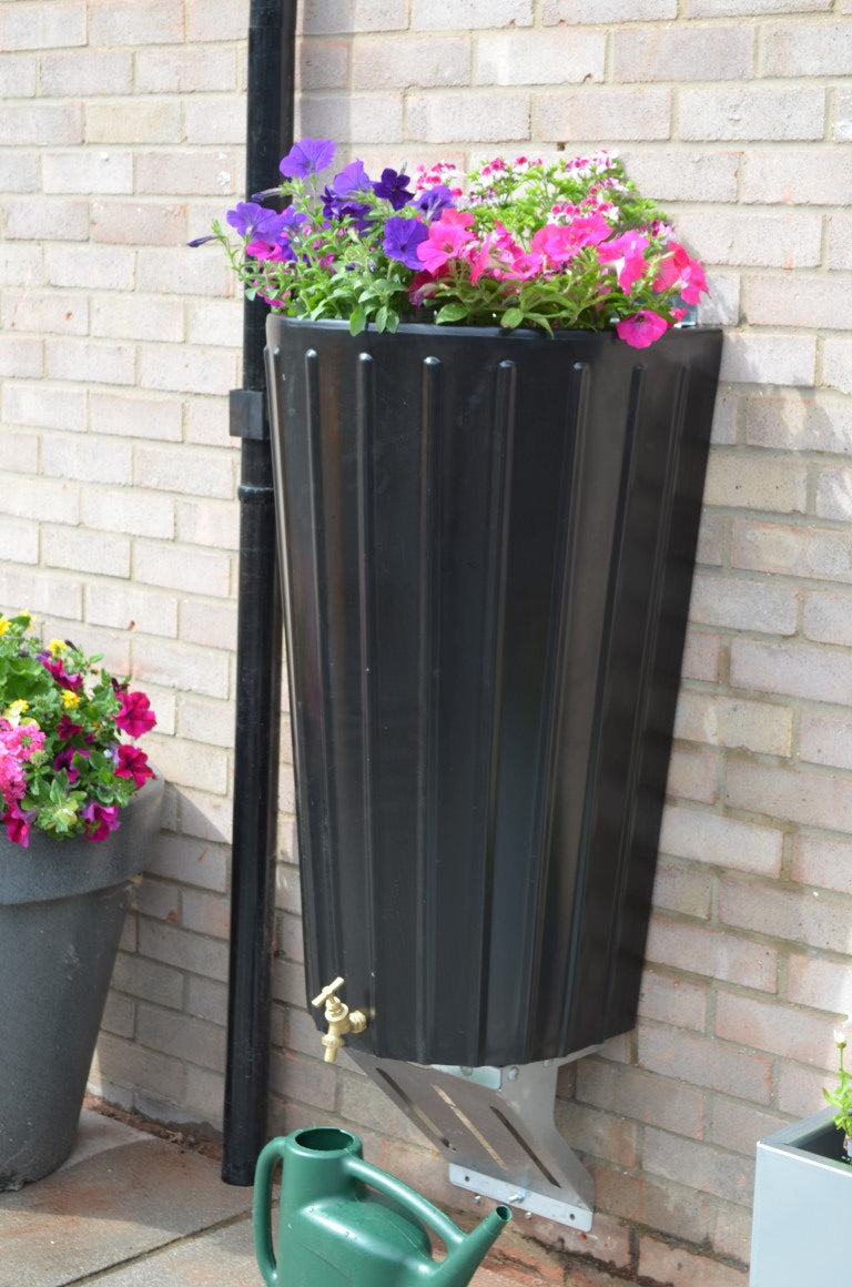 Wall Mounted Mini Cosmo Water Butt Planter in Black