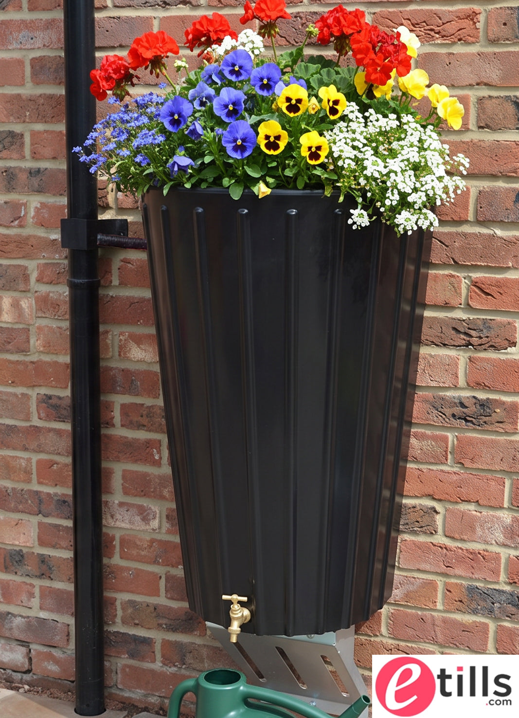 Wall Mounted Mini Cosmo Water Butt Planter in Black
