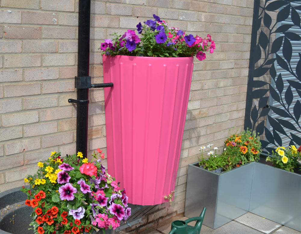 Wall Mounted Mini Cosmo Water Butt Planter in Pink