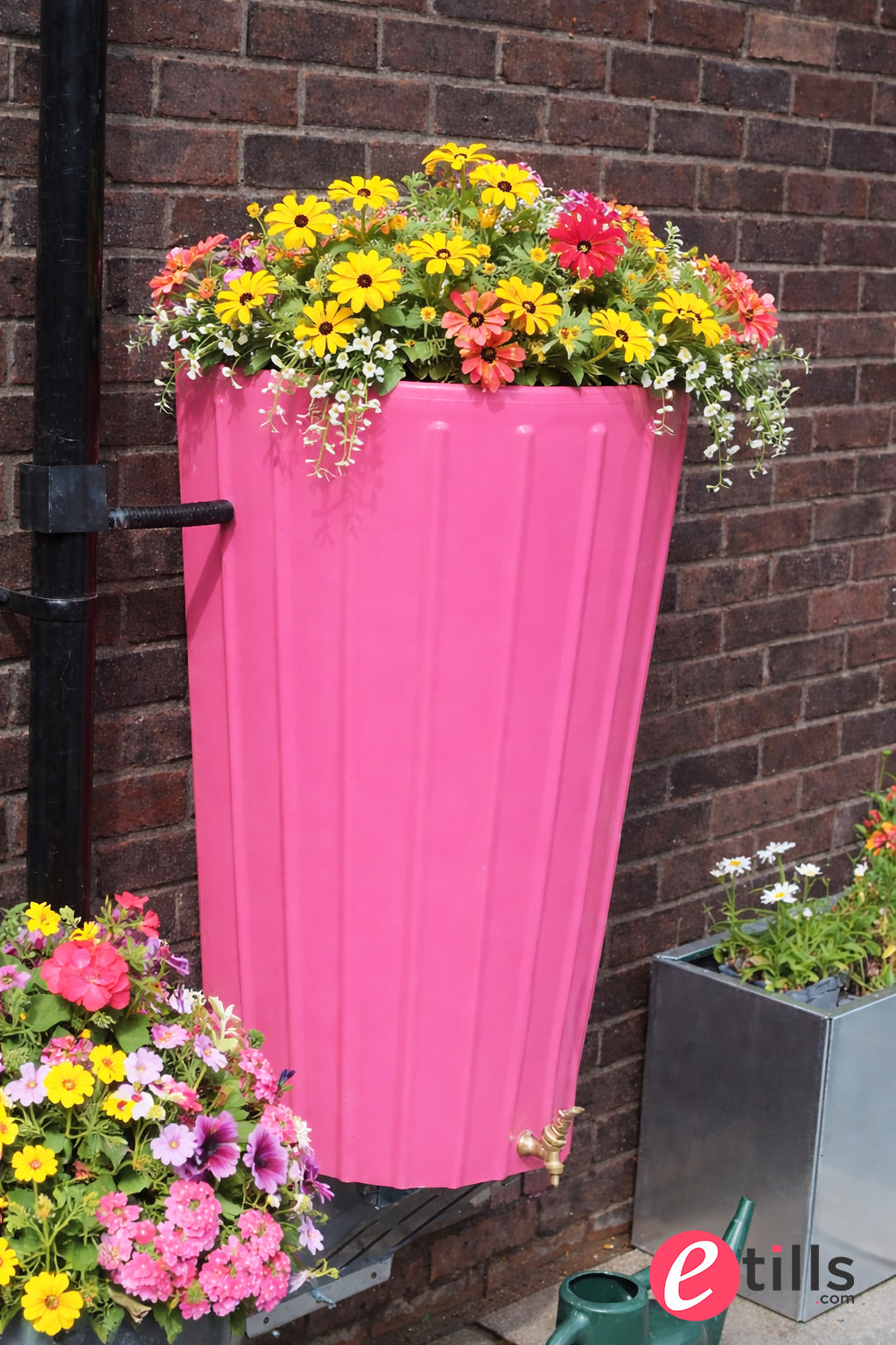 Wall Mounted Mini Cosmo Water Butt Planter in Pink